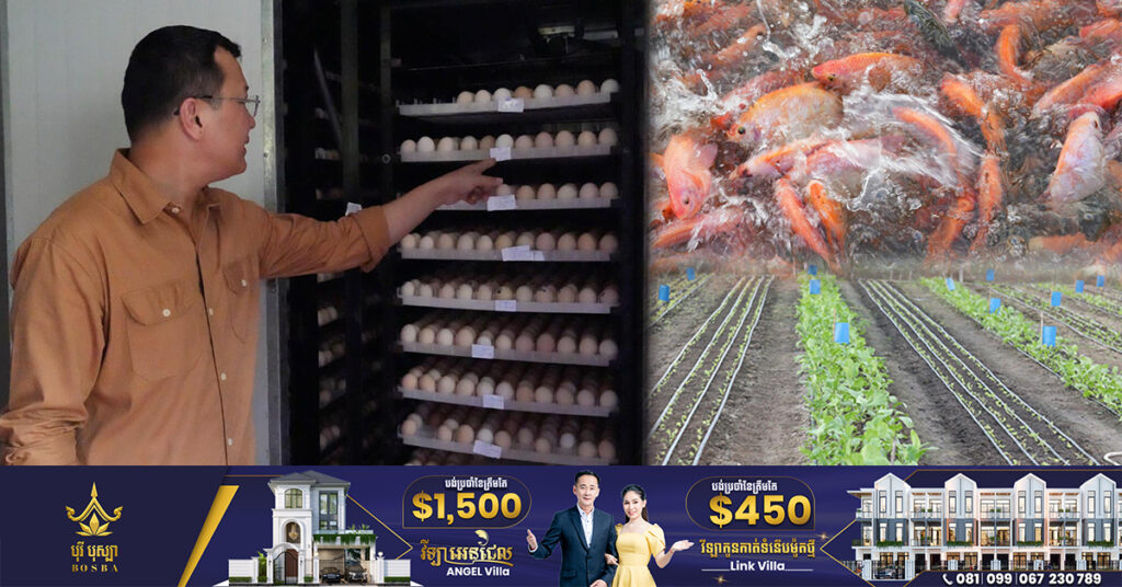 រដ្ឋមន្ត្រីក្រសួងកសិកម្ម ចុះសិក្សាស្វែងយល់ពីការដាំបន្លែក្នុងផ្ទះសំណាញ់ ការភ្ញាស់និងចិញ្ចឹមមាន់ ការភ្ញាស់និងចិញ្ចឹមត្រី នៅផ្ទះកសិដ្ឋាន