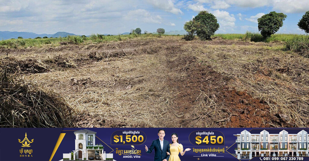 ដីព្រៃលិចទឹកនៅតំបន់៣​ ជាង៥០ហិកតា ក្នុងភូមិសាស្ត្រស្រុកកំពង់លែង ត្រូវក្រុមជនខិលខូចលួចឈូសឆាយ ខណៈដែលអាជ្ញាធរ និងសមត្ថកិច្ចជាប់រវល់រឿងឃោសនាបោះឆ្នោត