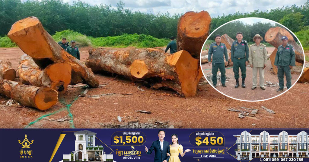 គណៈកម្មការជាតិដើម្បីទប់ស្កាប់ និងបង្ក្រាបបទល្មើសធនធានធម្មជាតិ ឆ្លើយតបករណីសង្ស័យមានបទល្មើសរក្សាទុកឈើ នៅស្រុកវើនសៃ ខេត្តរតនគិរី