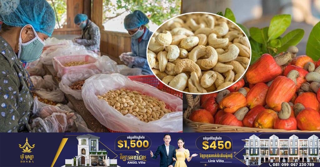 កម្ពុជានឹងធ្វើជាម្ចាស់ផ្ទះនៃសន្និសីទស្វាយចន្ទីពិភពលោក នៅដើមឆ្នាំ២០២៤