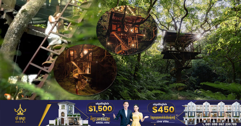 ក្រុមហ៊ុនមួយរបស់ជប៉ុន គ្រោងសាងសង់ផ្ទះបន្តោងដើមឈើប្រណិតលំដាប់សណ្ឋាគារផ្កាយ៥ នៅលើភ្នំគូលែន