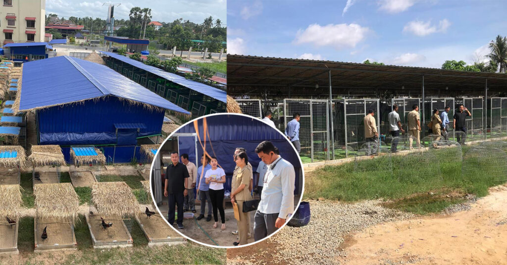 អាជ្ញាធរចុះពិនិត្យទីតាំងកសិដ្ឋានចិញ្ចឹមមាន់ជល់មួយកន្លែង នៅភូមិតាព្រហ្ម សង្កាត់ព្រែកឯង ដែលបង្កសំឡេងរំខាន ក្រោយមានបណ្ដឹងពីប្រជាពលរដ្ឋ