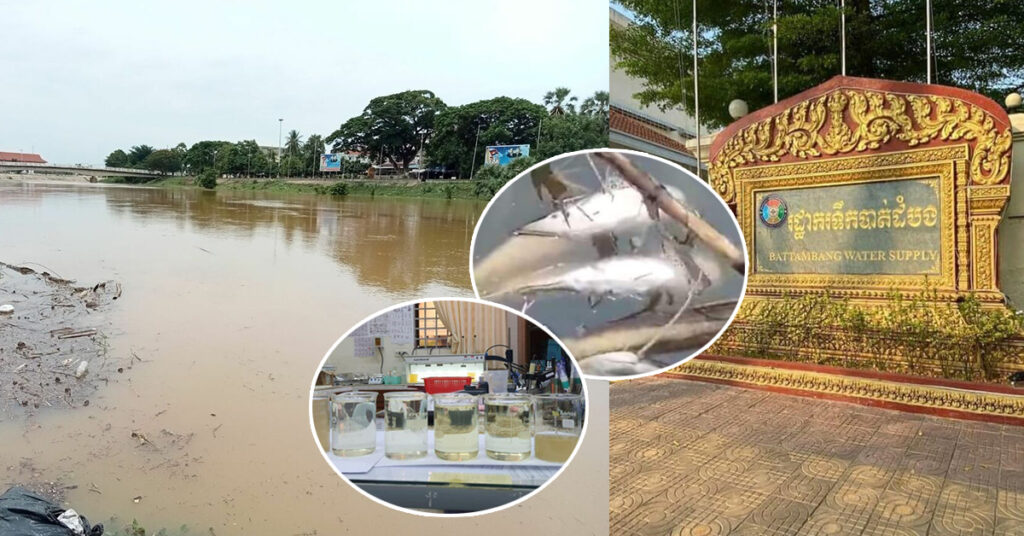 រដ្ឋាករទឹកខេត្តបាត់ដំបង បញ្ជាក់ថា ទឹកស្ទឹងសង្កែរងនូវការបំពុល និងទឹកមានប្រែពណ៌ប្លែកខុសធម្មតា