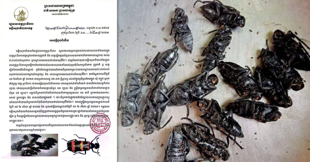 មន្ទីរសុខាភិបាលខេត្តព្រះវិហារ អំពាវនាវដល់ប្រជាពលរដ្ឋកុំបរិភោគសត្វកំភេមខ្មោច ព្រោះអាចបណ្ដាលឱ្យបាត់បង់ជីវិត