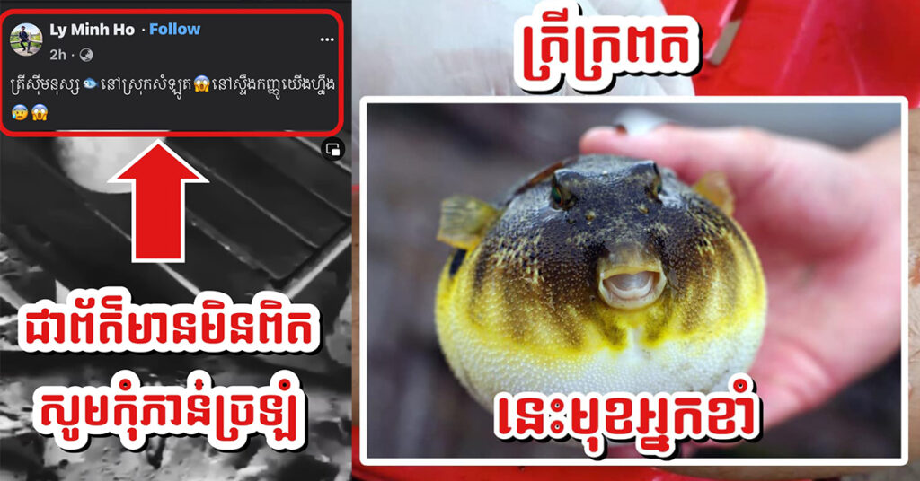 ស្នងការខេត្តបាត់ដំបង បំភ្លឺករណីផ្អើលថាមានត្រីស៊ីសាច់មនុស្សខាំបុរសម្នាក់ បណ្ដាលឱ្យរបួសជើង នៅស្ទឹងក្រញូង ស្រុកសំឡូត គឺជារឿងមិនពិត