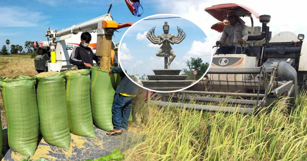 ទិន្នផលស្រូវដើមរដូវរបស់ប្រជាកសិករខេត្តព្រៃវែងមានការកើនជាងឆ្នាំមុន ហើយមានតម្លៃសមរម្យ