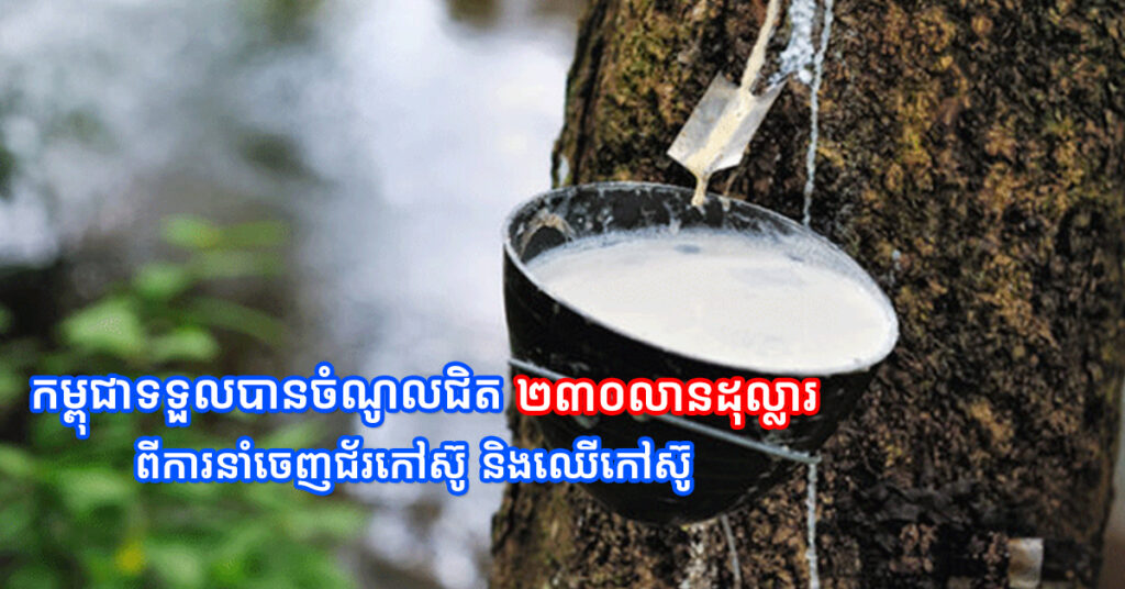 កម្ពុជាទទួលបានចំណូលជិត ២៣០លានដុល្លារ ពីការនាំចេញជ័រកៅស៊ូ និងឈើកៅស៊ូ នៅរយៈពេល៧ខែឆ្នាំនេះ