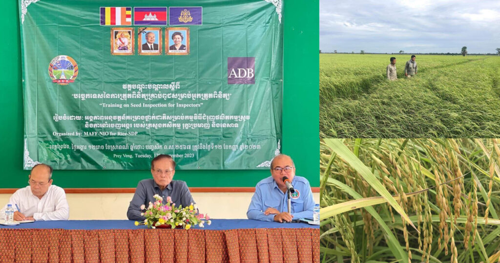 ខេត្តព្រៃវែង នាំស្រូវចេញជិត១.៦លានតោន ទទួលបានចំណូលជិត៤០០លានដុល្លារ ក្នុងពេល៩ខែ ដើមឆ្នាំ២០២៣