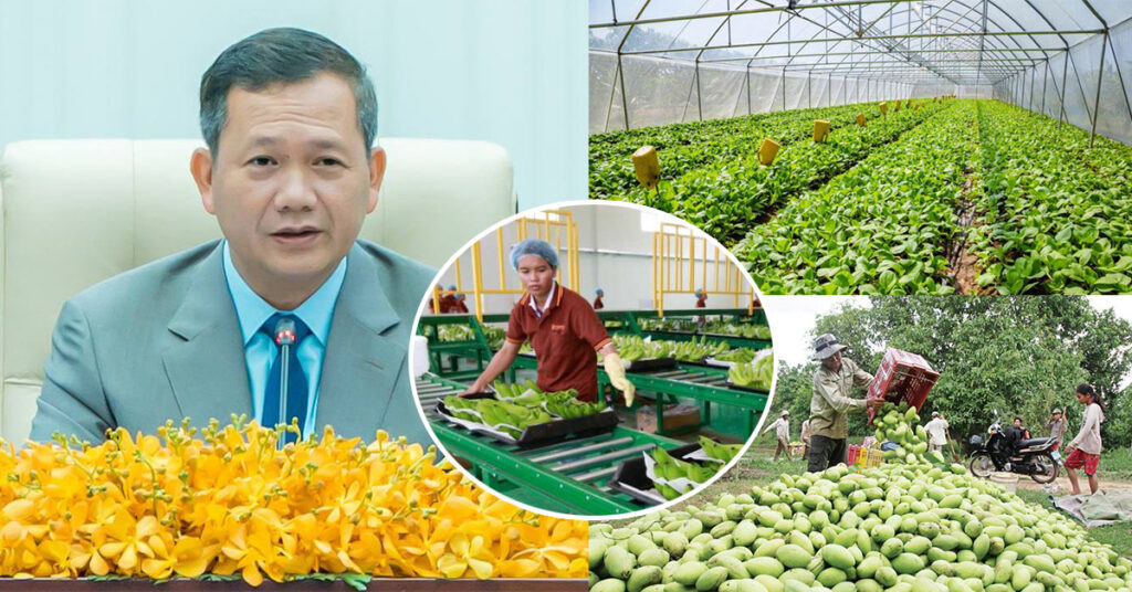 រាជរដ្ឋាភិបាល ណែនាំក្រសួង ស្ថាប័ន និងភាគីពាក់ព័ន្ធ ត្រូវខិតខំ ស្វែងរកទីផ្សារកសិផល សម្រាប់ប្រជាកសិករ