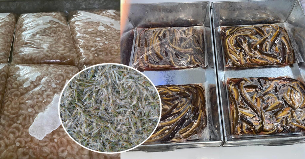 កម្ពុជានាំចេញ កំពឹសទឹកសាប​ និងអន្ទង់ ​​«ជើងដំបូង»ទៅកាន់ទីផ្សារប្រទេសចិន​