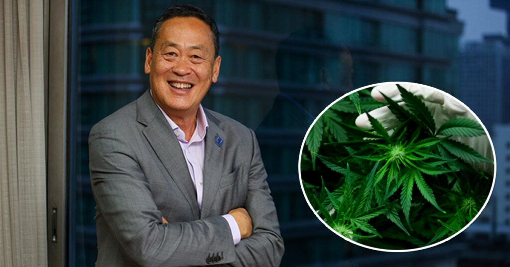 នាយករដ្ឋមន្រ្តីថៃលោក Srettha បង្ហាញការមិនយល់ស្រប ចំពោះការប្រើប្រាស់កញ្ឆាសម្រាប់គោលដៅកម្សាន្ត