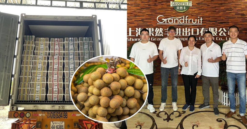 តម្រូវការផ្លែមៀនប៉ៃលិនស្រស់នៅចិន កំពុងកើនឡើងជាលំដាប់, ក្រុមហ៊ុននាំចេញកម្ពុជា ចាប់ដៃគូជាមួយក្រុមហ៊ុនចែកចាយផ្លែឈើដ៏ល្បីល្បាញ នៅសៀងហៃ នាំចេញផ្លែមៀនប៉ៃលិនស្រស់កម្ពុជា លើកទី២