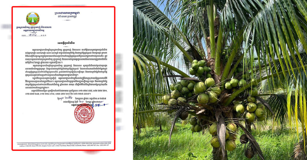 ក្រសួងអំពាវនាវឱ្យម្ចាស់ចំការដូង ដែលចង់នាំចេញទៅចិនមកចុះបញ្ជី ខណៈកម្ពុជា ចុះហត្ថលេខាលើលក្ខខណ្ឌអនាម័យ ជាមួយចិនរួចរាល់