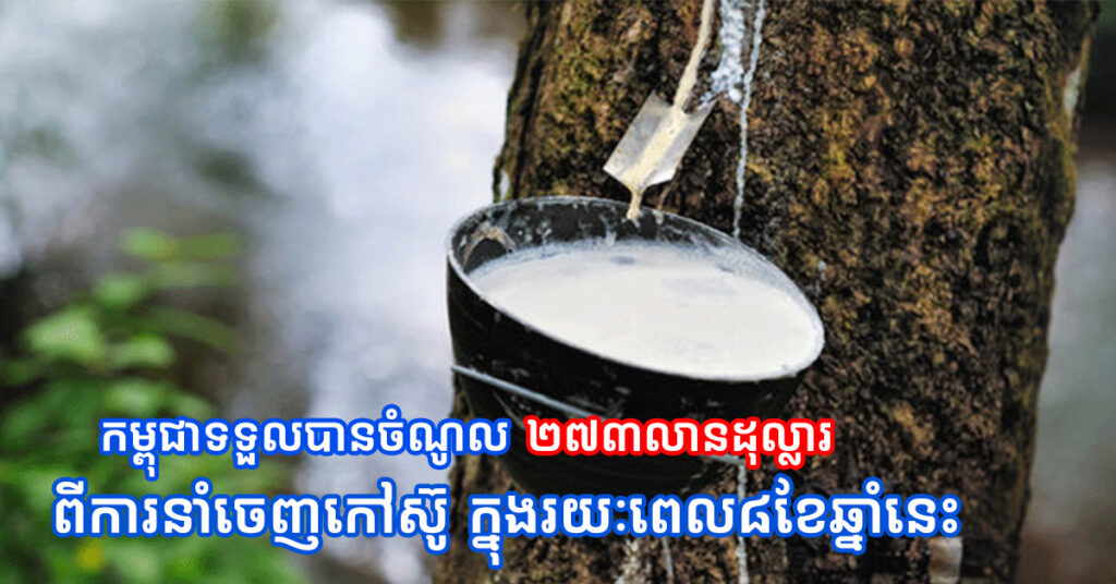 កម្ពុជាទទួលបានចំណូល ២៧៣លានដុល្លារពីការនាំចេញកៅស៊ូ ក្នុងរយៈពេល៨ខែឆ្នាំនេះ