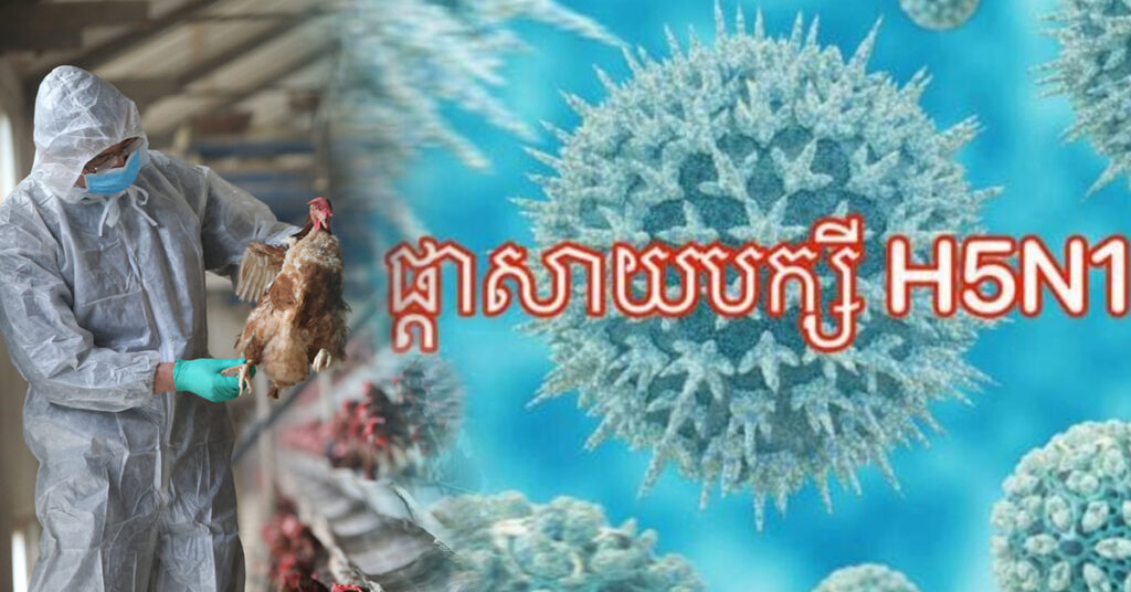 ក្រសួងសុខាភិបាល ប្រកាសព័ត៌មានស្តីពីករណីបាត់បង់ជីវិត ដោយសារជំងឺផ្តាសាយបក្សីលើមនុស្ស នៅប្រទេសកម្ពុជា