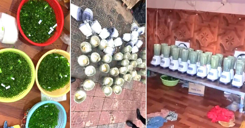 កម្លាំងនគរបាលប្រឆាំងបទល្មើសសេដ្ឋកិច្ច បង្ក្រាបទីតាំងផលិតឡេក្លែងក្លាយមួយកន្លែង នៅស្រុកស្វាយជ្រុំ ដកហូតឡេ និងសារធាតុផ្សំជាង២តោន