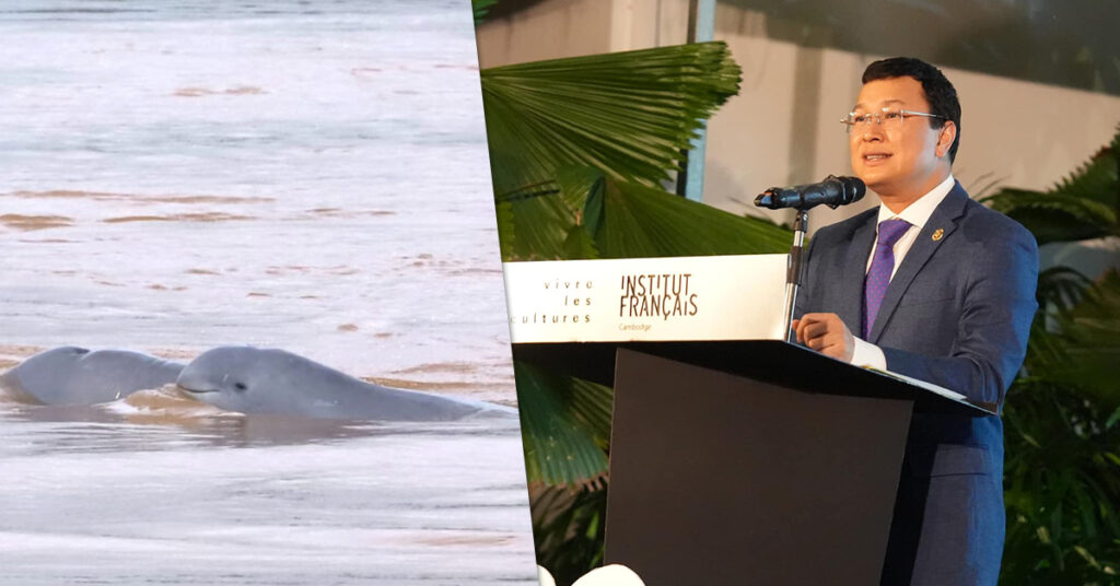 រដ្ឋមន្រ្តីក្រសួងកសិកម្មអំពាវនាវប្រជាពលរដ្ឋចូលរួមការពារ និងអភិរក្សសត្វផ្សោតឱ្យបានគង់វង្ស ខណៈបច្ចុប្បន្នសត្វផ្សោតទន្លេមេគង្គមានចំនួន ៩០ក្បាល