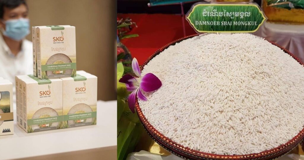 យល់ដឹងពីជំនួញ៖ អ្នកជំនួញក្នុងវិស័យស្រូវអង្ករ លើកពីតម្រូវការស្រូវដំណើរ «ស្បៃមង្គល» នៅទីផ្សារចិន និងអឺរុប ដែលកសិករគួរចាប់ឱកាសដាំដុះ ដើម្បីជំរុញការនាំចេញ