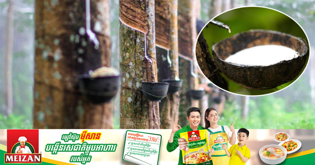 ១០ខែឆ្នាំនេះ កម្ពុជានាំចេញជ័រកៅស៊ូជិត ៣០ម៉ឺនតោន ទទួលបានចំណូលជាង ៣៧៨លានដុល្លារ