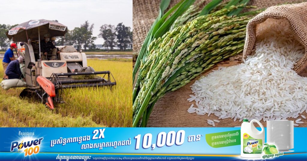 តម្លៃអង្ករនាំចេញរបស់វៀតណាមកើនដល់កម្រិតខ្ពស់មិនធ្លាប់មាន