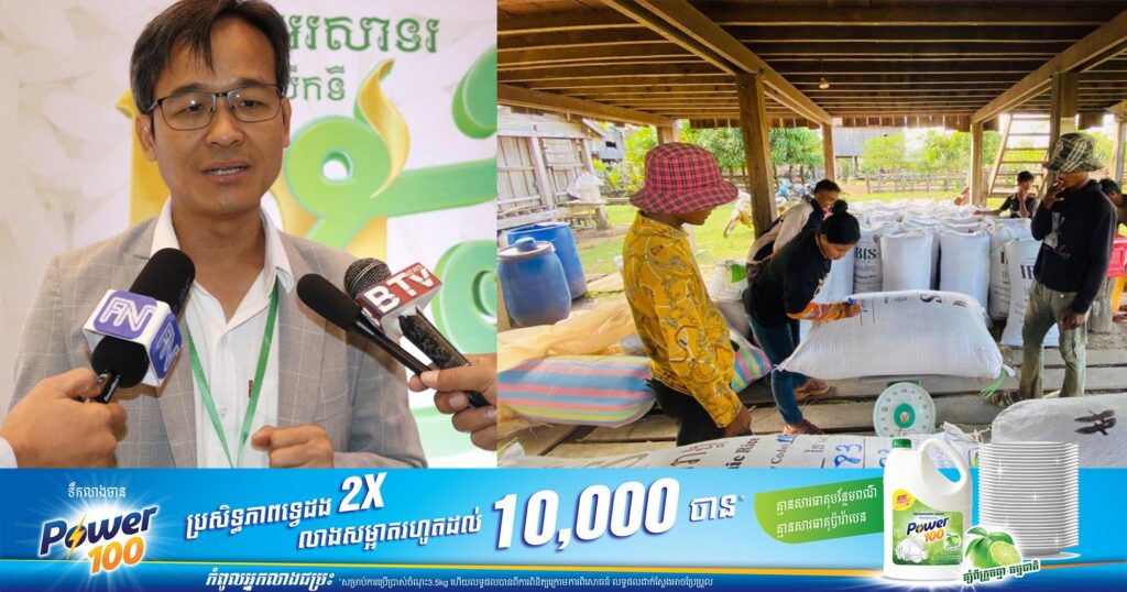 យល់ដឹងពីជំនួញ៖ អ្នកជំនួញអះអាងថាតម្លៃស្រូវនៅកម្ពុជា នឹងបន្តកើនឡើងនៅឆ្នាំក្រោយ សម្រាប់ស្រូវគ្រប់ប្រភេទ