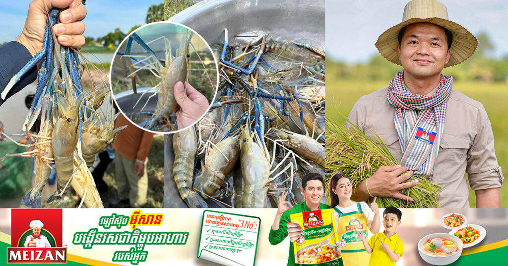 លោក ឃឹម ហ្វីណង់ ៖ «បង្កងតាកែវ» ចិញ្ចឹមតាមបែបធម្មជាតិ តម្លៃត្រឹមតែពាក់ណ្តាល និងមានរសជាតិឆ្ងាញ់ប្រហាក់ប្រហែលនឹងបង្កងធម្មជាតិ