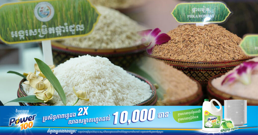 ១១ខែ ឆ្នាំ២០២៣ កម្ពុជានាំចេញអង្ករបានជិត ៦០ម៉ឺនតោន គិតជាទឹកប្រាក់ ៤២០លានដុល្លារ ខណៈនាំចេញស្រូវជិត ៤លានតោន គិតជាទឹកប្រាក់ជាង ១ ១០០លានដុល្លារ