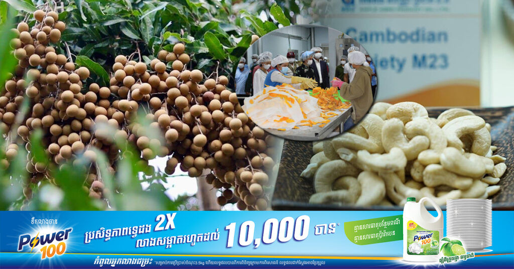 ១១ខែឆ្នាំ​នេះ កម្ពុជានាំចេញកសិផលជាង ៧លានតោន ទៅកាន់ទីផ្សារអន្តរជាតិ ទទួលបានថវិកាជាង ៣.៩ពាន់លានដុល្លារ