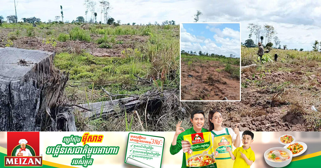 ដីរដ្ឋរាប់រយហិកតានៅស្រុកកូនមុំ ត្រូវគេលួចកាប់ទន្ទ្រានដាំកូនកៅស៊ូធ្វើជាកម្មសិទ្ធិមិនស្របច្បាប់, អាជ្ញាធរខេត្ត ចុះទៅពិនិត្យដល់ទីតាំងដីព្រៃ ដើម្បីរកអ្នកពាក់ព័ន្ធឲ្យទទួលខុសត្រូវនៅចំពោះមុខច្បាប់