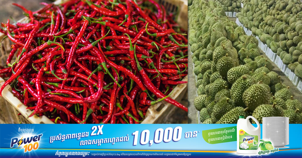 ជប៉ុនកម្ទេចទុរេននិងម្ទេសវៀតណាមជាង ៥តោន ក្រោយរកឃើញមានផ្ទុកសារធាតុគីមីច្រើនលើសកម្រិត