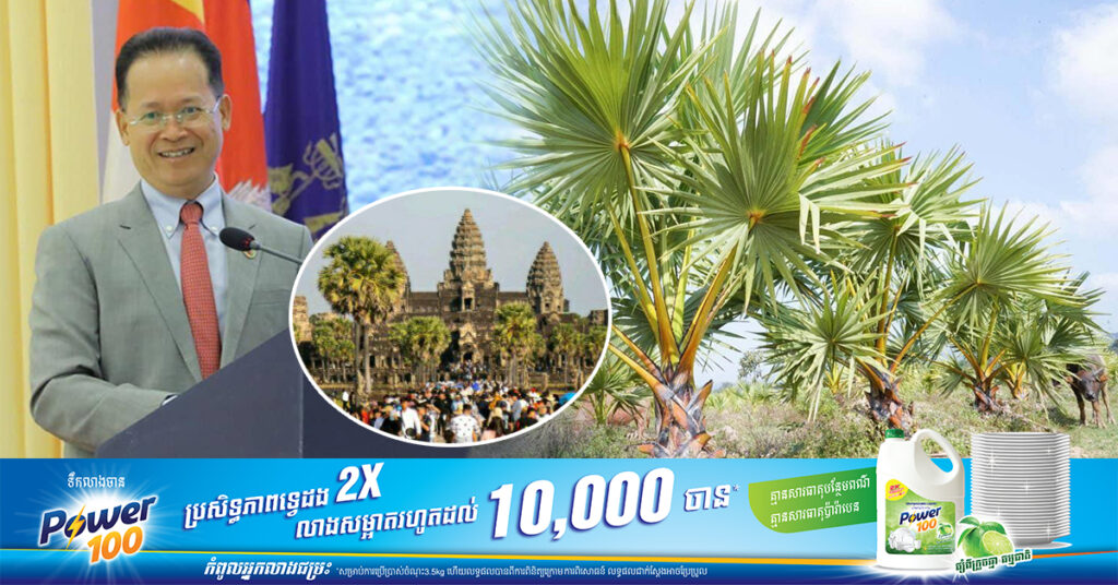 រដ្ឋមន្រ្តីក្រសួងបរិស្ថាន ជំរុញនិងលើកទឹកចិត្តឱ្យប្រជាពលរដ្ឋដាំត្នោត ដែលជារុក្ខតំណាងជាតិកម្ពុជា