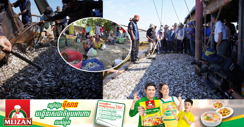 ប្រជាពលរដ្ឋពីតាមបណ្តាខេត្តនានា ចាប់ផ្តើមមកទិញត្រីធ្វើប្រហុកជាបណ្តើរៗ ខណៈត្រីឆ្នាំនេះ កើនជាងឆ្នាំមុន និងតម្លៃទាបជាងរាល់ឆ្នាំ