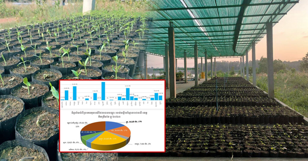 មន្ទីរបរិស្ថានរាជធានី-ខេត្ត បណ្ដុះកូនឈើបានជាង ២៣ម៉ឺនដើម គិតត្រឹមបំណាច់ខែធ្នូ ឆ្នាំ២០២៣