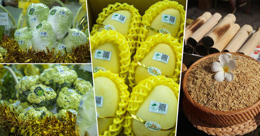 ក្រសួងកសិកម្ម៖ ឆ្នាំ២០២៣ កម្ពុជានាំចេញកសិផលជិត ៨.៥លានតោនទទួលបានចំណូល ៤.៥ពាន់លានដុល្លារ