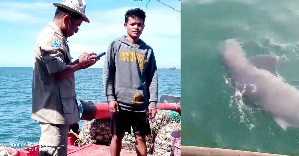 ផ្សោតសមុទ្រ ១ក្បាល ត្រូវបានសង្គ្រោះនិងលែងចូលក្នុងសមុទ្រវិញ