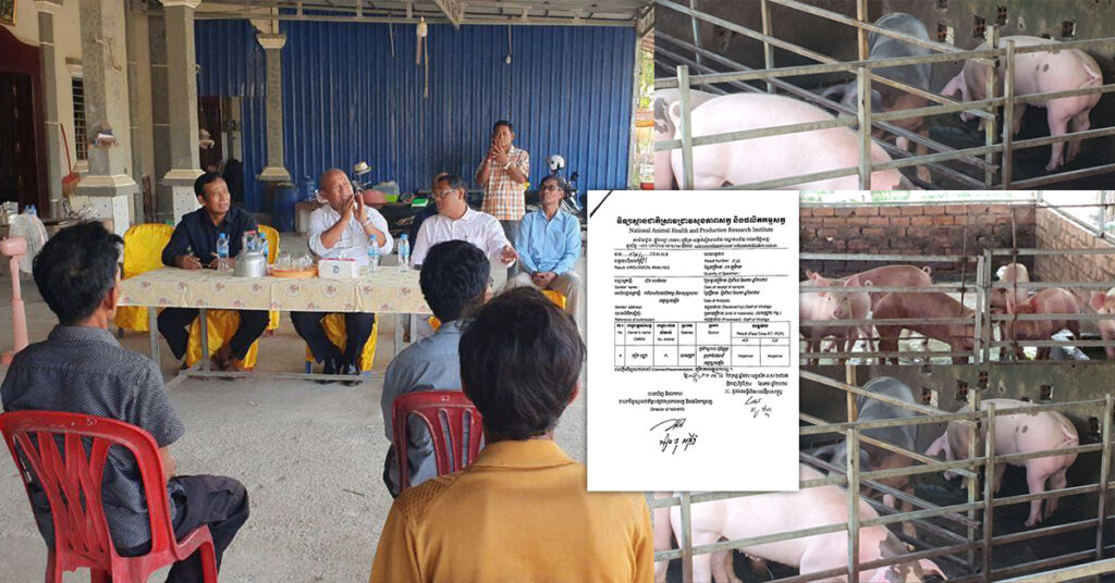 អ្នកតំណាងរាស្ត្រមណ្ឌលស្វាយរៀង ចុះសួរសុខទុក្ខពលរដ្ឋដែលចិញ្ចឹមសត្វជ្រូក ក្រោយផ្ទុះជំងឺជ្រូកនៅស្រុកកំពង់រោទិ៍, មន្ត្រីជំនាញថា ពុំមានជំងឺប៉េស្តជ្រូកអាហ្វ្រិកនោះទេ