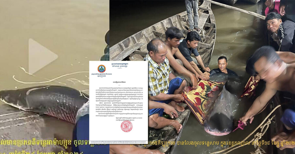 រដ្ឋបាលជលផល ហាមឃាត់ការលែងប្រភេទត្រីមានប្រភពពីក្រៅប្រទេស ចូលក្នុងដែនទឹកធម្មជាតិ