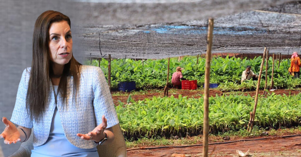 អ៉ីស្រាអែល កំពុងពិនិត្យលទ្ធភាពនាំយកពលករខ្មែរ ក្នុងវិស័យកសិកម្មទៅធ្វើការនៅប្រទេសរបស់ខ្លួន