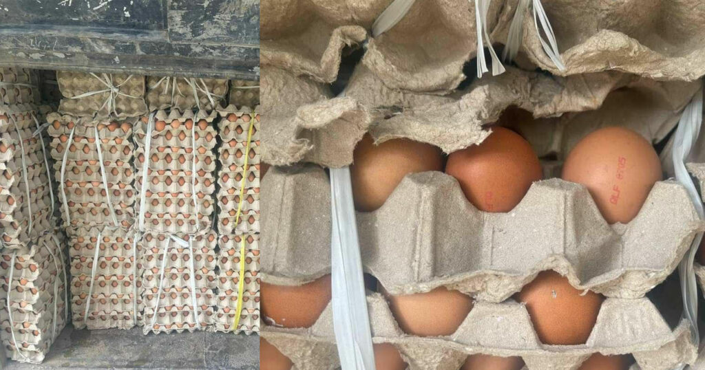 បង្ក្រាបការដឹកជញ្ជូនស៊ុតមាន់ជាង៦ម៉ឺនគ្រាប់ លួចបង្កប់តាមរថយន្តក្រុង ដឹកពីខេត្តកំពង់ស្ពឺ មកចែកចាយនៅខេត្តបន្ទាយមានជ័យ គ្មានឯកសារត្រឹមត្រូវ