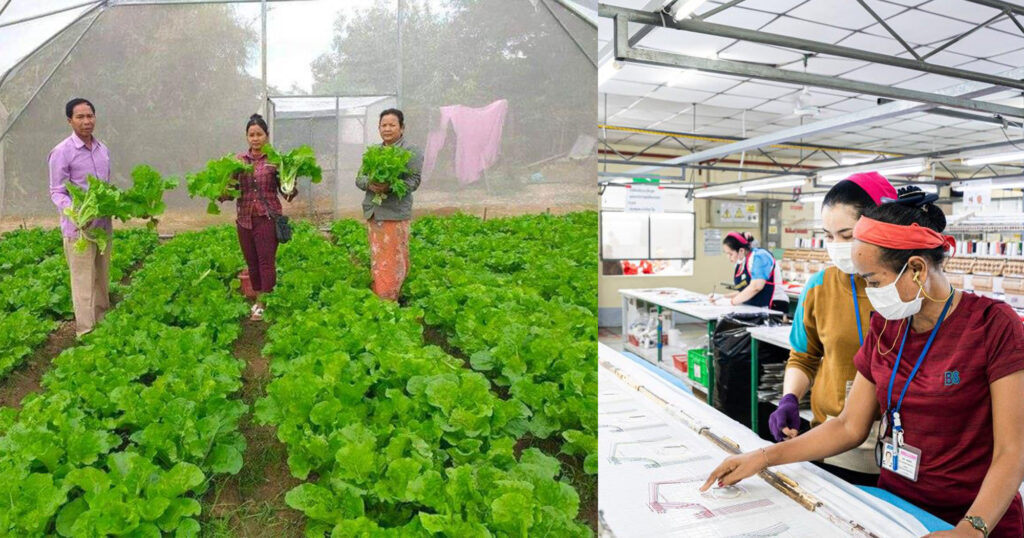 នៅឆ្នាំ២០២៥! វិស័យសេវាកម្ម និងឧស្សាហកម្ម នឹងមានកំណើនការងារខ្ពស់ ខណៈវិស័យកសិកម្មធ្លាក់ចុះ