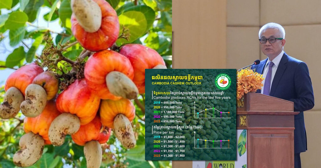 ស្វាយចន្ទីរបស់កម្ពុជា ជាប់ចំណាត់ទី៣ ដែលផលិតច្រើនជាងគេ នៅលើពិភពលោក​