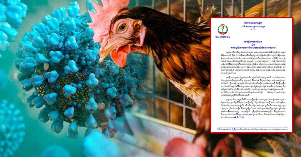 ក្រសួងសុខាភិបាល៖ មានករណីបាត់បង់ជីវិត ដោយសារជំងឺផ្តាសាយបក្សី លើកុមារា អាយុ៩ឆ្នាំ នៅខេត្តក្រចេះ