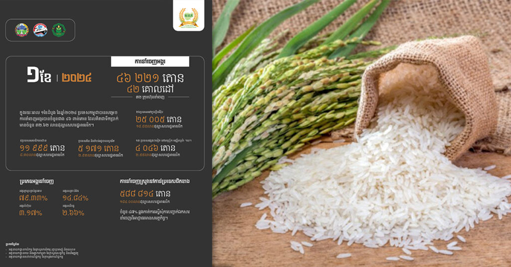 ក្នុងខែមករា កម្ពុជានាំចេញអង្ករ៤៦ ២២១តោន គិតជាទឹកប្រាក់ជាង៣២លានដុល្លារ