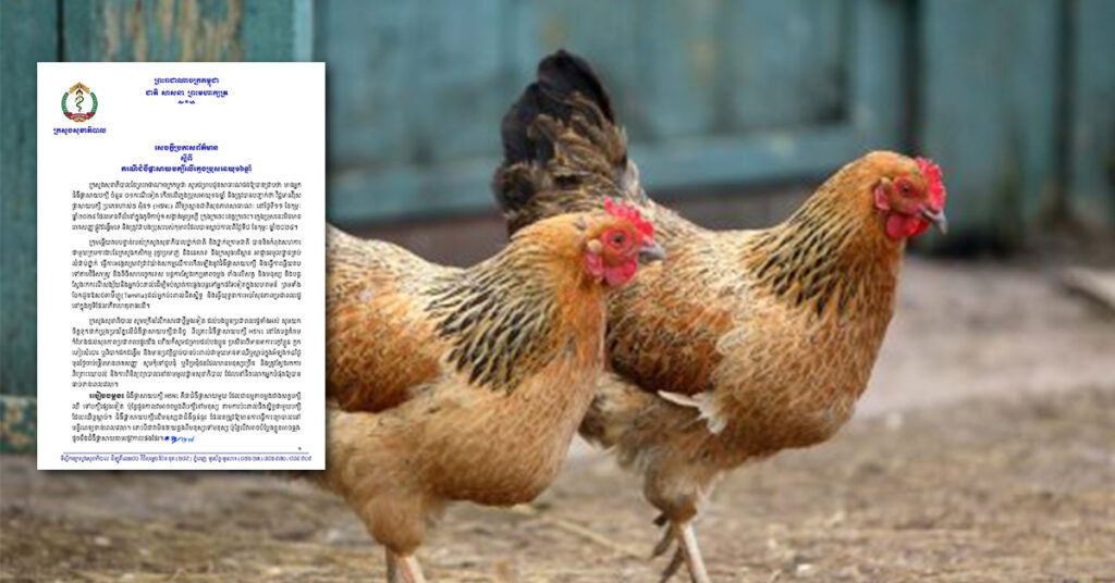 ក្រសួងសុខាភិបាលប្រកាសព័ត៌មានពីករណីឆ្លងជំងឺផ្ដាសាយបក្សីលើក្មេងប្រុសអាយុ១៦ឆ្នាំម្នាក់នៅក្រុងក្រចេះ និងប្រាប់ពីវិធានការបង្ការដល់ប្រជាពលរដ្ឋ