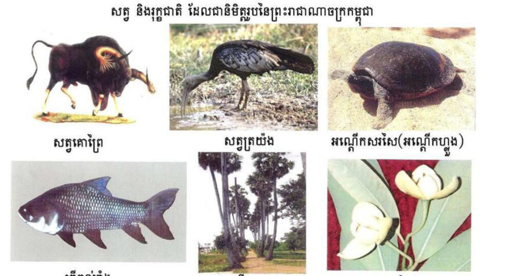 ក្រសួងពាណិជ្ជកម្ម ហាមឃាត់ការប្រើប្រាស់ម៉ាក ដែលដូចសញ្ញាជាតិ ទង់ជាតិ និងនិមិត្តរូបកម្ពុជា ដោយគ្មានការអនុញ្ញាត