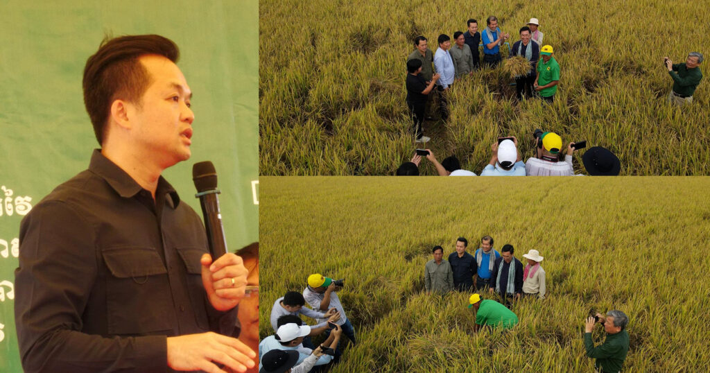 អ្នកនាំពាក្យកសិកម្ម៖ កសិករនៅស្រុកគីរីវង់ សាកល្បងធ្វើស្រែគំរូ (Demo) ដោយប្រើពូជសុទ្ធត្រឹម ៦០គីឡូក្នុង១ហិកតា ទទួលបានទិន្នផលខ្ពស់ រហូតដល់៧.៥តោន