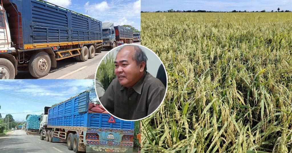 ជាង២ខែដើមឆ្នាំ២០២៤ ខេត្តព្រៃវែង បាននាំស្រូវទៅលក់នៅវៀតណាម ជាង៨សែនតោន មានថវិកាជាង ២៥០លានដុល្លារ