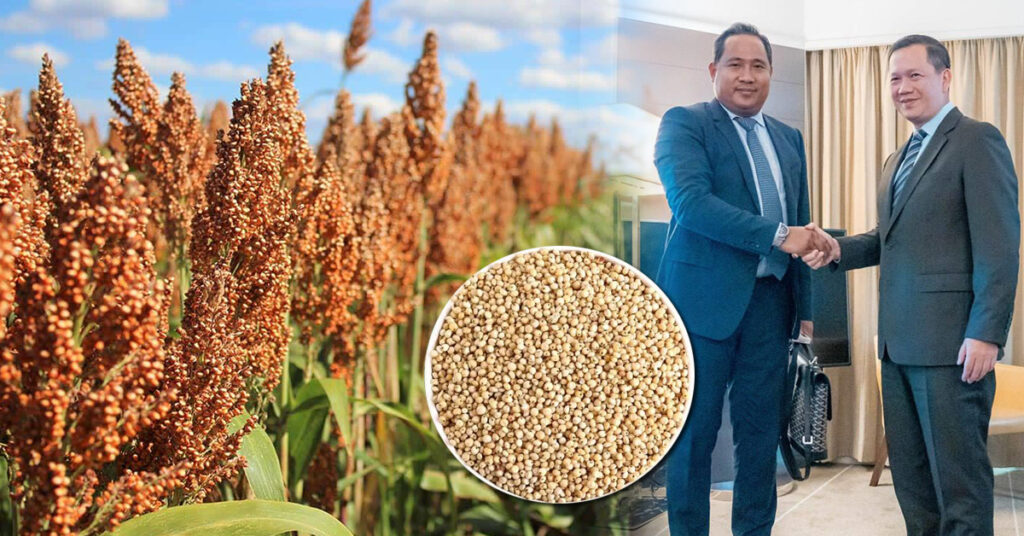 ក្នុងជំនួបជាមួយសម្តេចធិបតី ហ៊ុន ម៉ាណែត, ក្រុមហ៊ុនអូស្ត្រាលី ចង់វិនិយោគលើការកែច្នៃដំណាំស្ពៅ