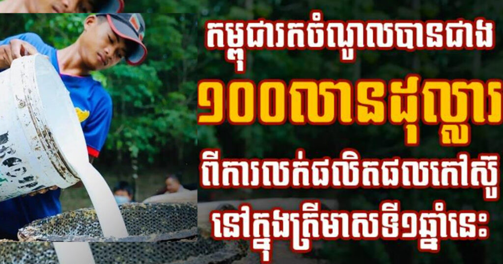 កម្ពុជារកចំណូលបានជាង ១០០លានដុល្លារ ពីការលក់ផលិតផលកៅស៊ូ នៅក្នុងត្រីមាសទី១ឆ្នាំនេះ