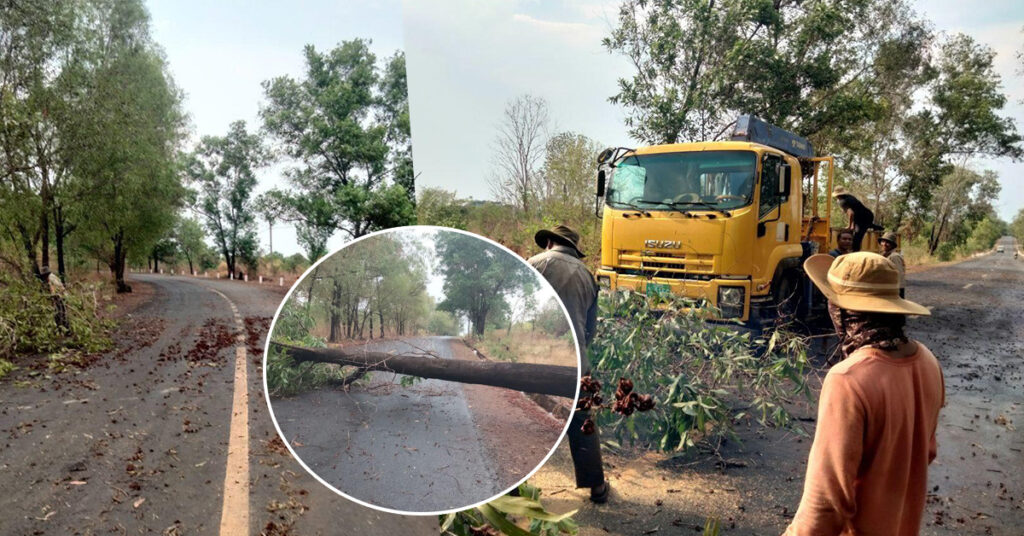 ប្រធានមន្ទីរសាធារណការខេត្តព្រះវិហារ ចាត់ក្រុមការងារចុះកាត់ដើមឈើដែលរលំលើផ្លូវចេញភ្លាមៗ ក្រោយខ្យល់កន្ត្រាក់បោកបក់ ដើម្បីសម្រួលចរាចរណ៍ជូនពលរដ្ឋ